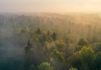 Ariel view of forest representing Gränges progress to net-zero.
