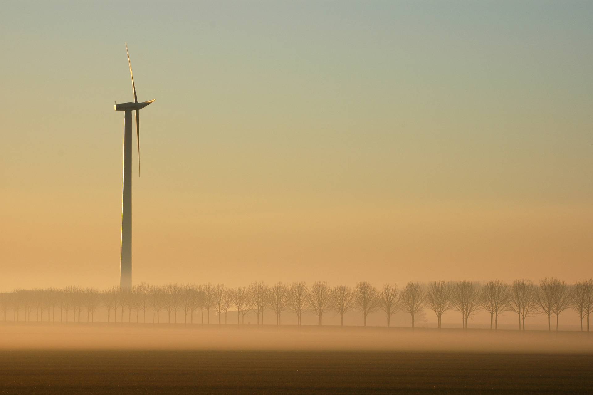 windy sandy windmill web
