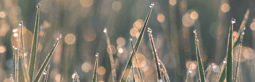 water drops