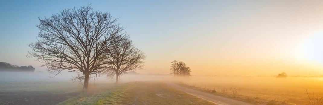 Sunrise at Gränges Americas representing climate impact reduction.