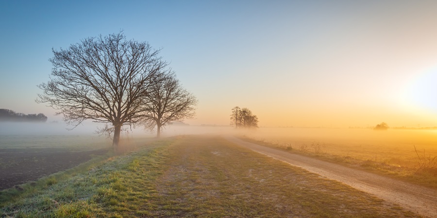 Sunrise at Gränges Americas representing climate impact reduction.